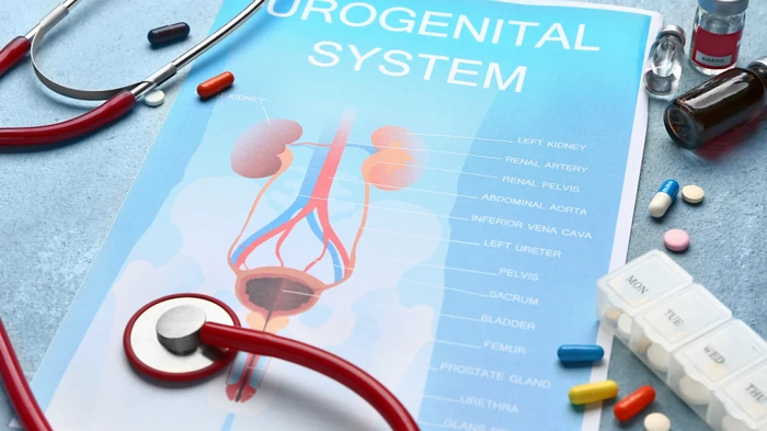 Urologinių ligų gydymas ir prevencija